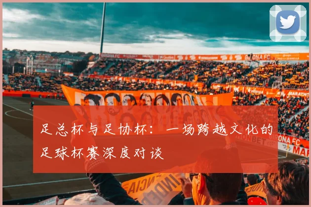 足总杯与足协杯:一场跨越文化的足球杯赛深度对谈
