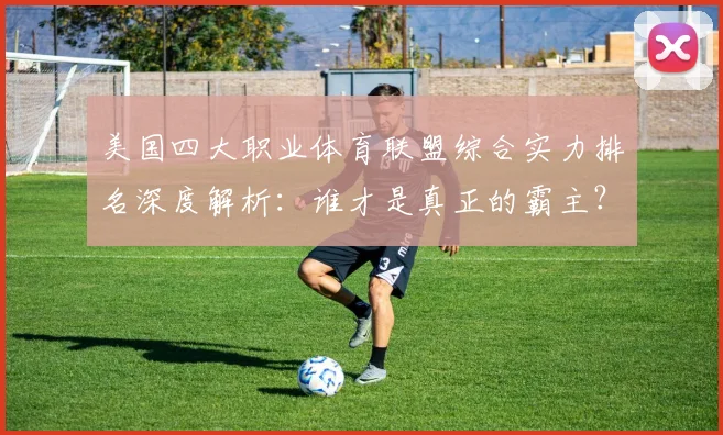 美国四大职业体育联盟综合实力排名深度解析：谁才是真正的霸主？