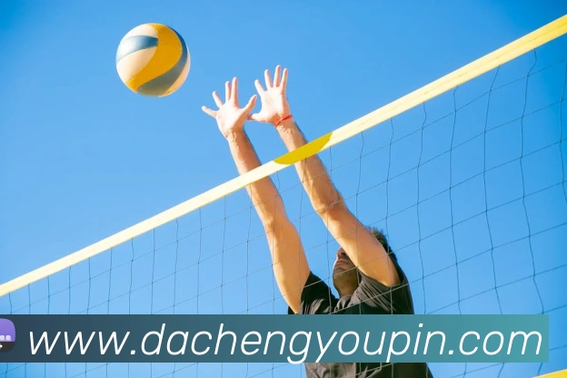 数据分析功能